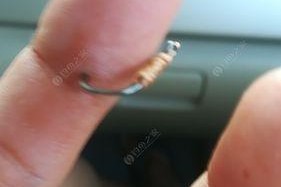 广西钓鱼钓草鱼技巧大揭秘（突破瓶颈，成功捕捞大草鱼）