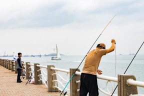 翻板钩钓鱼技巧与打窝的秘籍（掌握这些技巧）