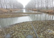 多水草清澈的水域野钓鲤鱼技巧是什么？如何提高钓鲤鱼的成功率？