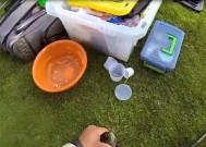 河里野钓如何选择最佳钓位？掌握这些技巧轻松钓到鱼！