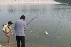 春季江河海竿垂钓技巧是什么？如何提高春季江河海竿垂钓的成功率？