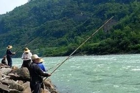 初春阴雨天大风钓鱼技巧是什么？如何应对天气变化提高钓鱼成功率？