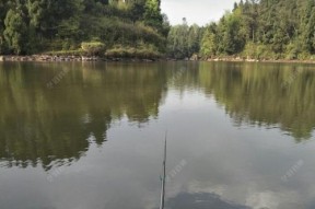 封闭水域钓鱼技巧有哪些？如何提高钓鱼成功率？