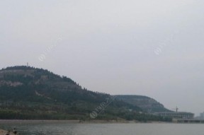 初春水库野钓鱼技巧有哪些？如何提高钓鱼成功率？
