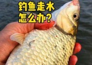 河里走水钓鱼技巧有哪些？如何提高钓鱼成功率？