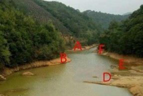 东江边钓鱼挂底怎么办？掌握这些技巧轻松应对！