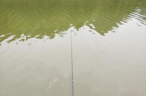钓鱼的技巧秘诀是什么意思？如何快速掌握钓鱼的秘诀？