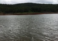 干枯水库钓鱼技巧有哪些？如何提高钓鱼成功率？