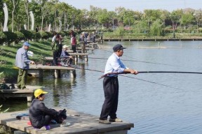 冬天池塘钓鱼技巧有哪些？如何选择适合的鱼种？