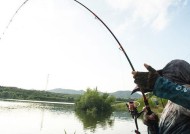 筏钓鱼技巧有哪些？如何运用口诀提高钓鱼效率？