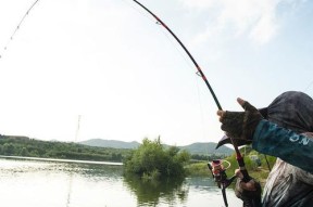 筏钓鱼技巧有哪些？如何运用口诀提高钓鱼效率？