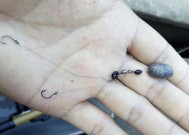 肥水塘钓鱼技巧法有哪些？如何提高钓鱼效率？