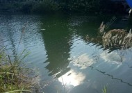 如何调节钓鱼水位？掌握这些技巧提高钓鱼效率！