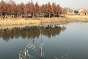 重庆野河钓鱼技巧地点（重庆野河钓鱼的秘密武器）