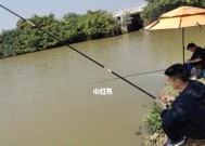 丁香钓鱼技巧大揭秘（轻松掌握）