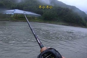 如何提高钓鱼效率？掌握哪些技巧能钓到更多鱼？