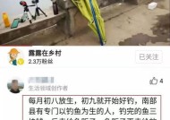 放生鱼钓鱼技巧有哪些？如何提高钓鱼成功率？