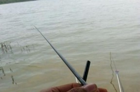 丛林小洞钓鱼技巧和方法是什么？如何提高钓鱼成功率？