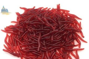 冰钓红虫开箱技巧是什么？如何正确开箱使用？