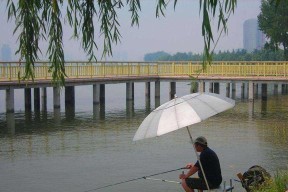 七米二钓鱼正确提竿方法与技巧（掌握关键步骤）