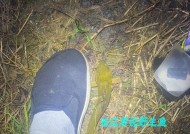 福建闽江钓鱼方法和技巧有哪些？如何提高钓鱼成功率？