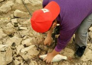 干旱土地钓鱼技巧方法有哪些？如何提高钓鱼成功率？