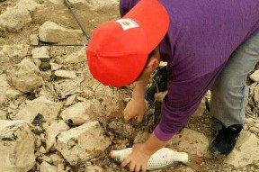 干旱土地钓鱼技巧方法有哪些？如何提高钓鱼成功率？