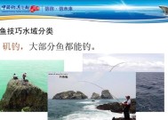 刚下竿钓鱼的技巧是什么？如何快速掌握钓鱼要领？