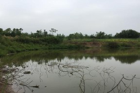 探秘河道乱石堆钓鱼技巧（玩转水中奥秘）