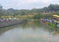 恩施钓场钓鱼技巧有哪些？如何提高钓鱼成功率？