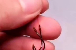 如何巧妙运用钓鱼小技巧提高钓鱼效率？常见问题有哪些？