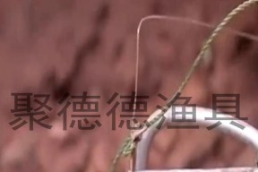 夏季垂钓技巧有哪些？附近渔具店能提供哪些帮助？