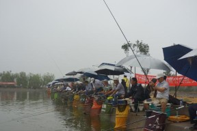 掌握钓鱼下雨吹风技巧（雨中的丰收与挑战）