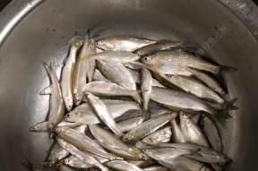 冰上钓小鱼技巧有哪些？如何提高冰钓小鱼的成功率？