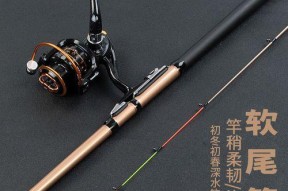 冬日伐竿钓鱼技巧（冬季寒冷中如何利用伐竿技巧成功钓鱼）