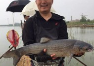 二两换八两钓鱼技巧和方法是什么？如何有效提高钓鱼成功率？