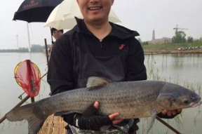二两换八两钓鱼技巧和方法是什么？如何有效提高钓鱼成功率？