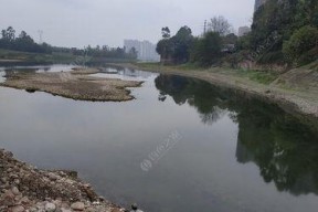 春雨绵绵钓鱼技巧？如何在细雨中提高钓鱼成功率？