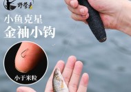 如何掌握弹钩钓鱼技巧？常见问题有哪些解决方案？