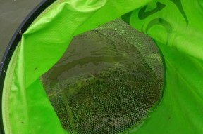 东江钓鱼打龟技巧（掌握钓鱼打龟的窍门，享受丰收乐趣）