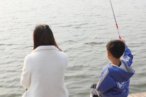 如何掌握钓鱼提鱼竿技巧？提竿时机和力度如何把握？