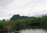 放水口回水湾钓鱼技巧有哪些？如何提高钓鱼成功率？