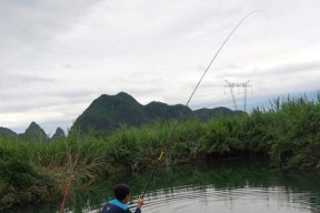 放水口回水湾钓鱼技巧有哪些？如何提高钓鱼成功率？