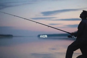 钓鱼技巧（提升钓鱼技能，让您在水库中钓鱼更得心应手）