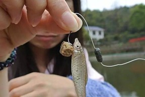 钓底钓浮的正确方法与技巧是什么？如何掌握？