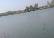 河流钓鱼的技巧和方法是什么？如何提高钓鱼成功率？