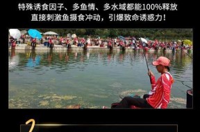 春季黑坑垂钓技巧有哪些？曾大盆如何讲解？