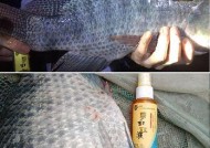 黑坑钓鱼长竿散炮饵怎么用？使用技巧有哪些？