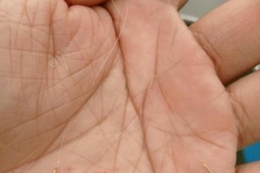 掌握手竿抛竿钓鱼压线技巧（成功钓鱼的关键在于技巧的掌握）
