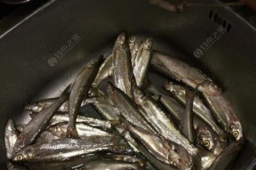 电站流水飘铅钓翘嘴技巧有哪些？如何提高钓翘嘴的成功率？